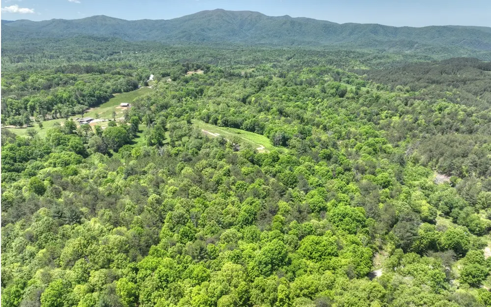 177 Roper Rd, Copperhill, TN 37317 - Image #1