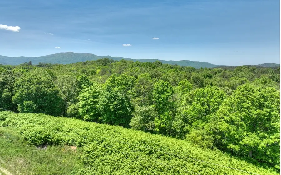 177 Roper Rd, Copperhill, TN 37317 - Image #2