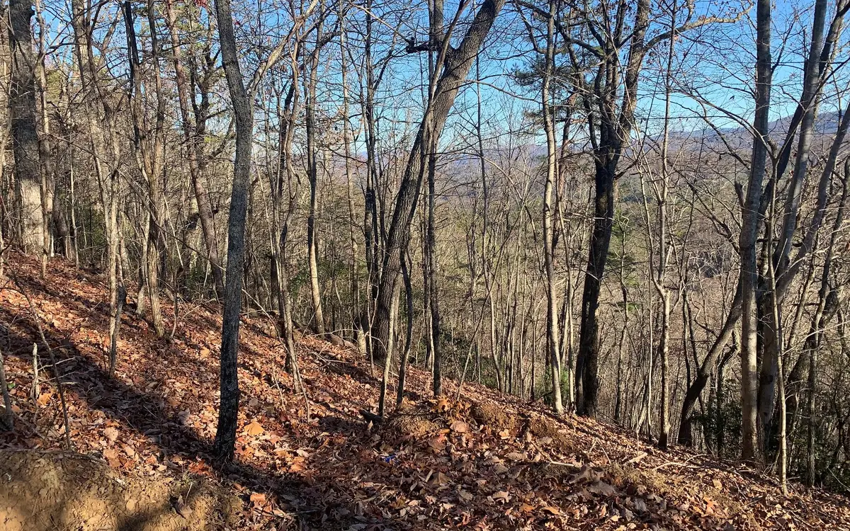 LOT25 Laurel Mountain Drive, Brasstown, NC 28902 - Image #1