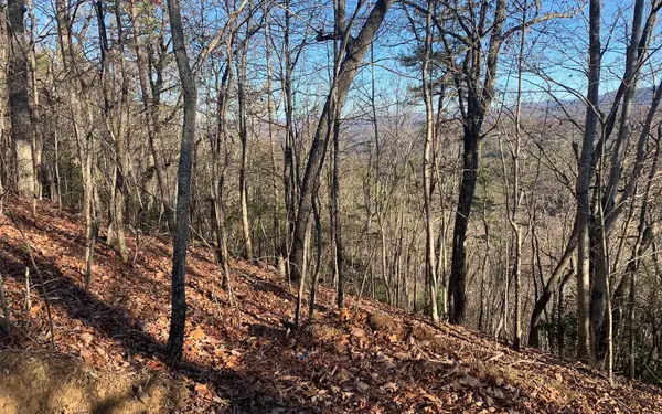 LOT25 Laurel Mountain Drive, Brasstown, NC 28902