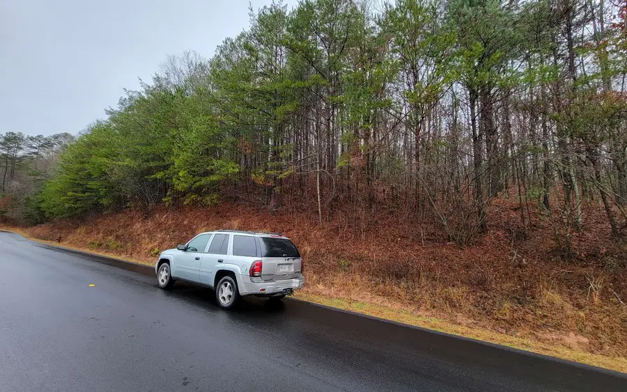 232.3 Cutcane Road #110, Mineral Bluff, GA 30559 - Image #2