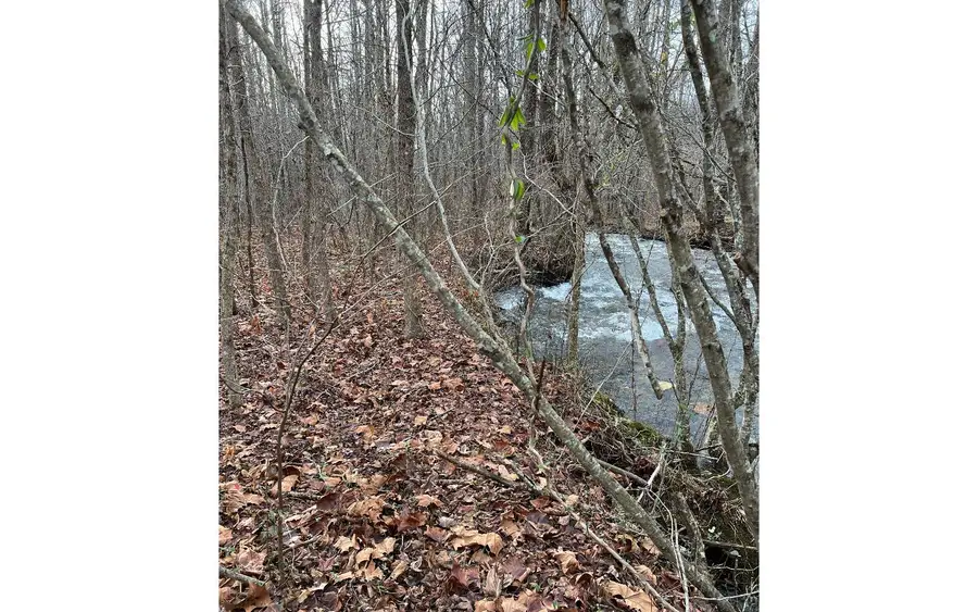 9-17 Mary Lane, Hayesville, NC 28904 - Image #3