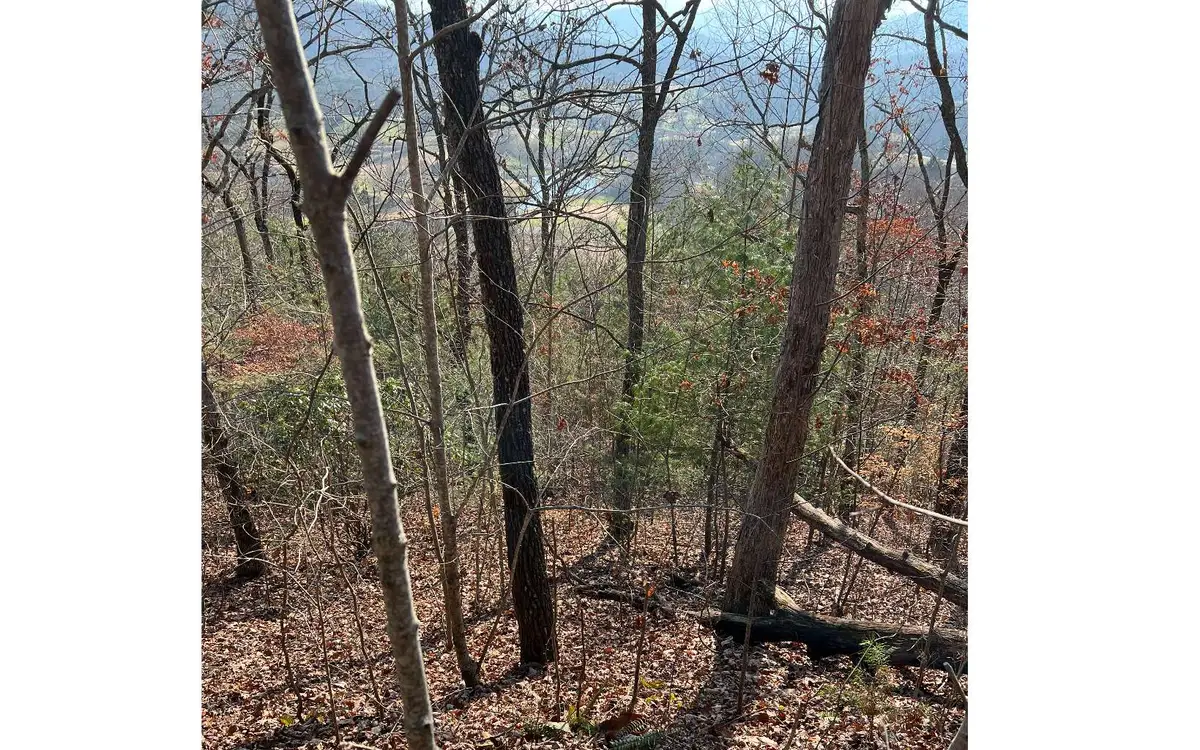 56C Indian Trail, Hayesville, NC 28904 - Image #1