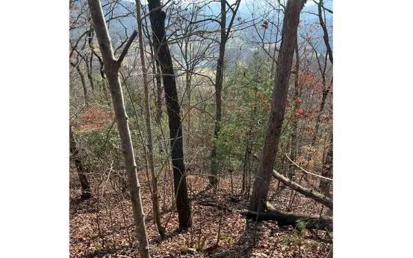 56C Indian Trail, Hayesville, NC 28904