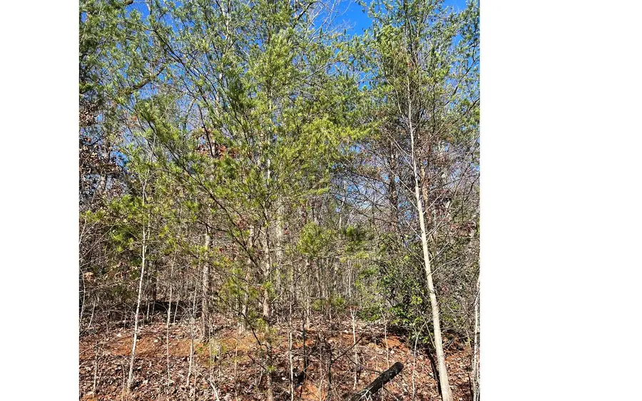 56C Indian Trail, Hayesville, NC 28904 - Image #2