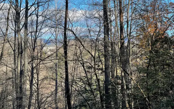 Lot 14 Kilpatrick Point Terrace, Hayesville, NC 28904