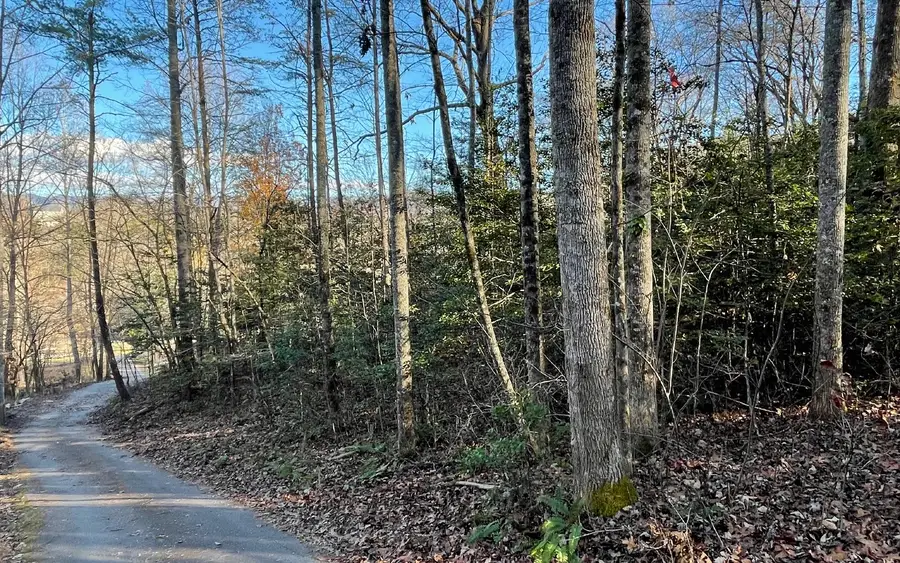 Lot 14 Kilpatrick Point Terrace, Hayesville, NC 28904 - Image #2