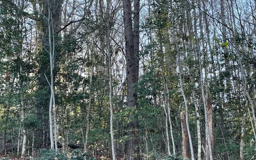 Lot 14 Kilpatrick Point Terrace, Hayesville, NC 28904 - Image #3