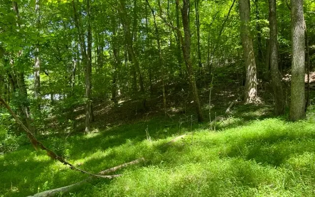 LOT5 Pine Ridge Drive, Warne, NC 28909 - Image #3