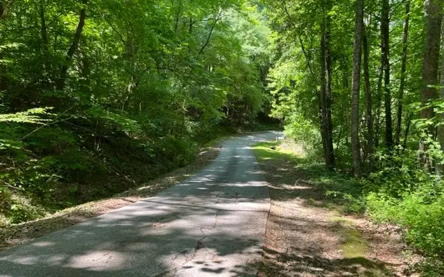 LOT6 Pine Ridge Drive, Warne, NC 28909 - Image #3