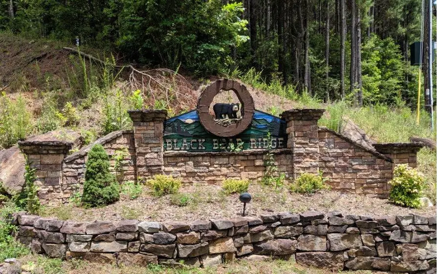 LOT 6 Black Bear Ridge Road, Ellijay, GA 30536 - #2