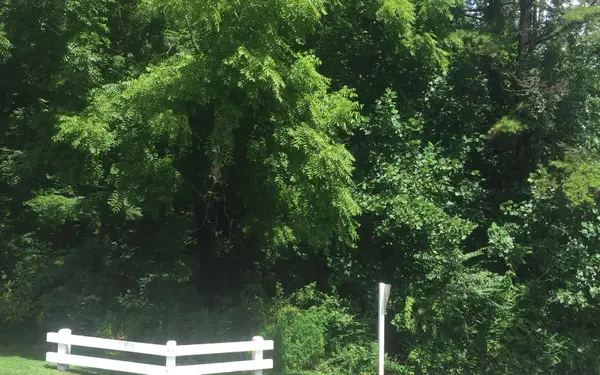 2 & 3 Chatuge Village Drive, Hayesville, NC 28904