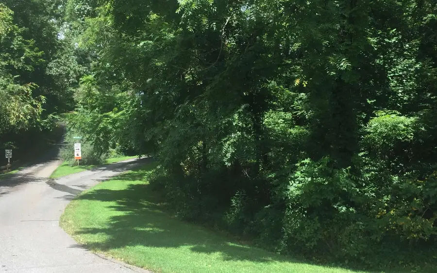 2 & 3 Chatuge Village Drive, Hayesville, NC 28904 - Image #2