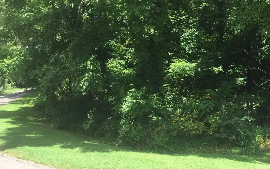 2 & 3 Chatuge Village Drive, Hayesville, NC 28904 - Image #3