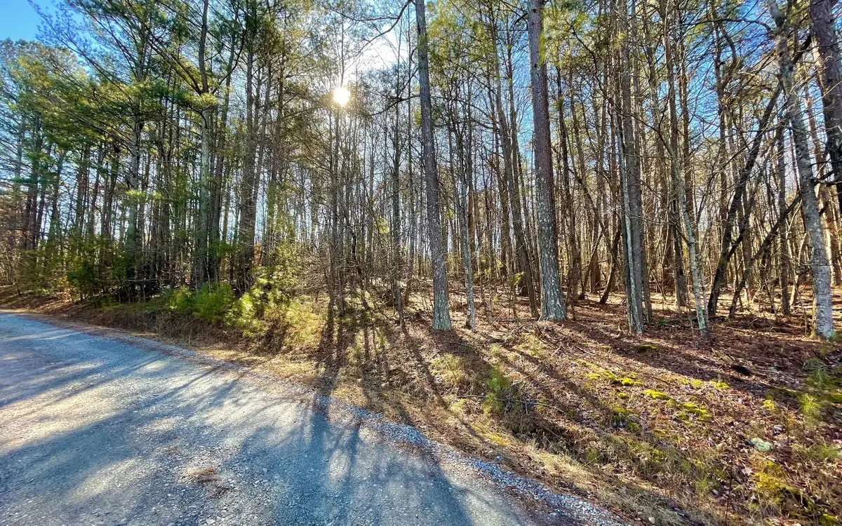 LOT Reindeer Lane, Talking Rock, GA 30175 - Image #1