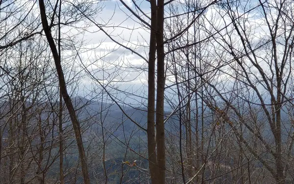 LT 35 Calvender Road, Copperhill, TN 37317