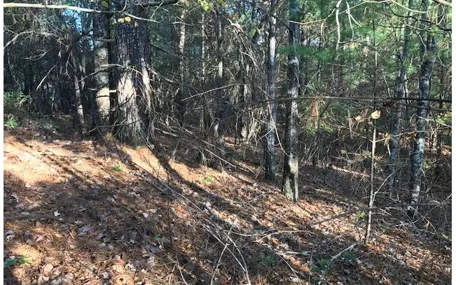 19D&E Braves Landing, Murphy, NC 28906 - Image #2