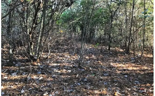 19D&E Braves Landing, Murphy, NC 28906 - Image #3