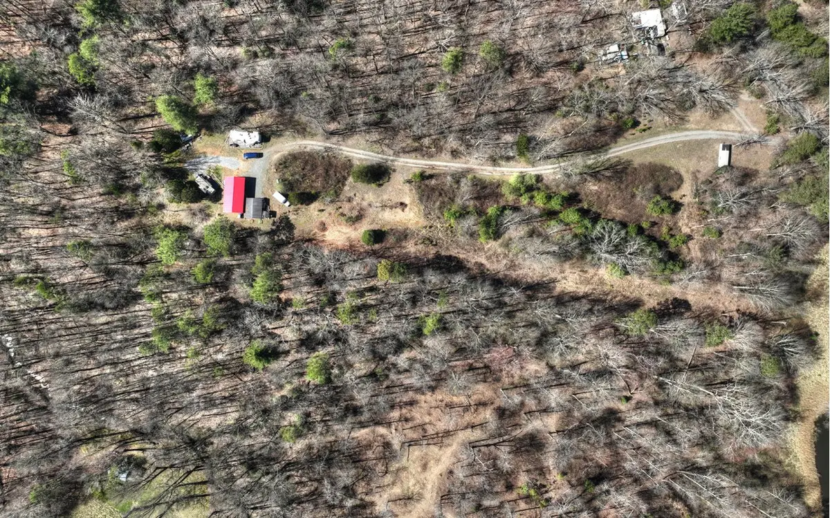 1810 Blackberry Mountain #Tract 1, Ellijay, GA 30536 - Image #1