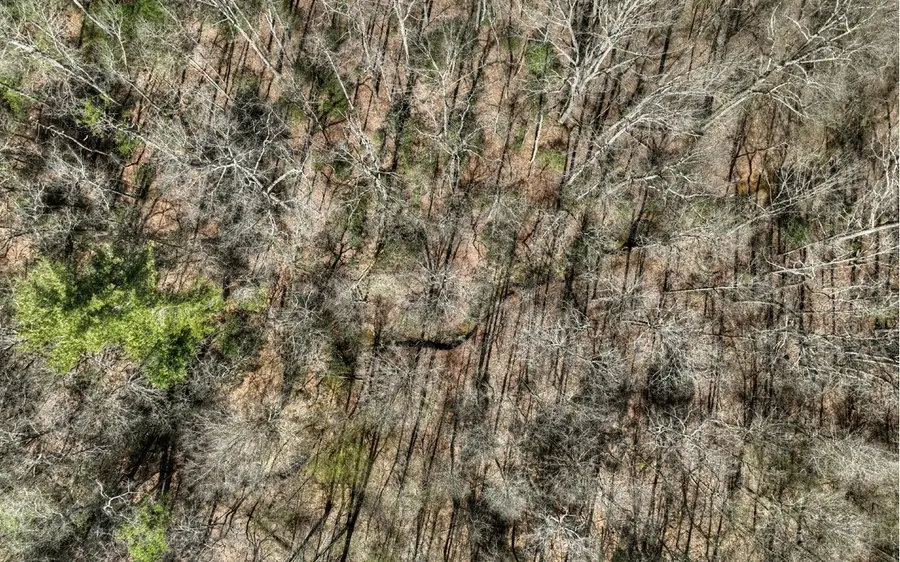 1810 Blackberry Mountain #Tract 1, Ellijay, GA 30536 - Image #3