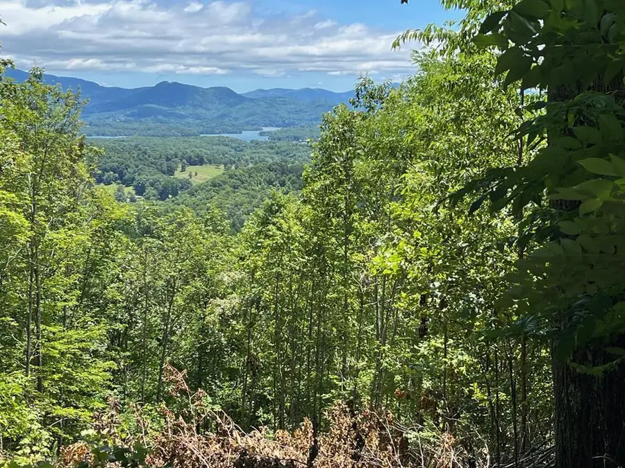 LT 10 Longview Ridge, Hayesville, NC 28904 - Image #2