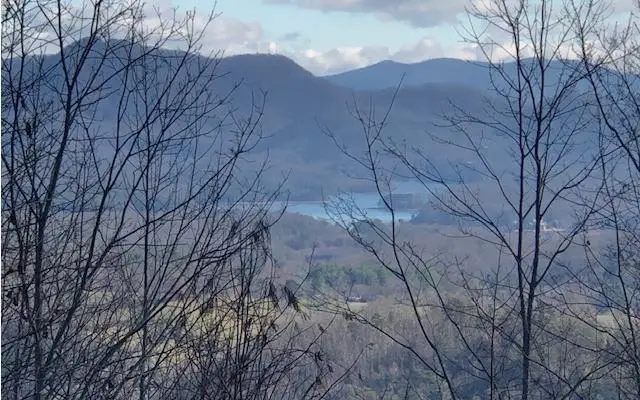 LT 10 Longview Ridge, Hayesville, NC 28904 - Image #3