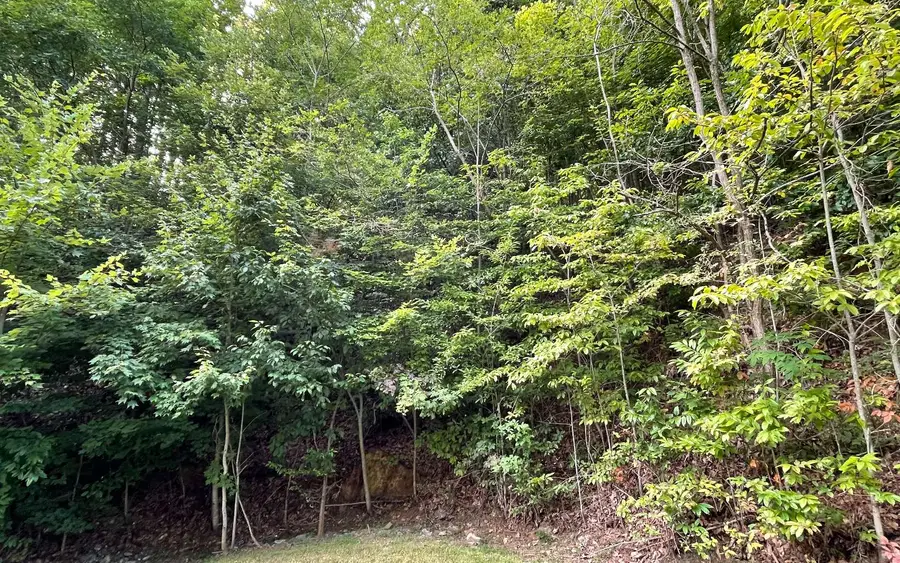 Lot 34 Overlook At Yh, Young Harris, GA 30582 - Image #2