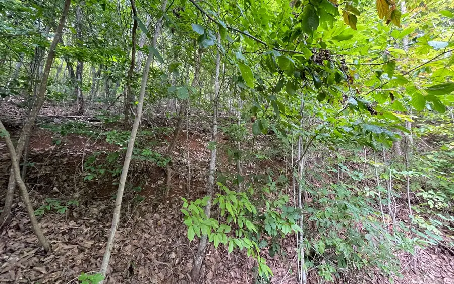Lot 34 Overlook At Yh, Young Harris, GA 30582 - Image #3