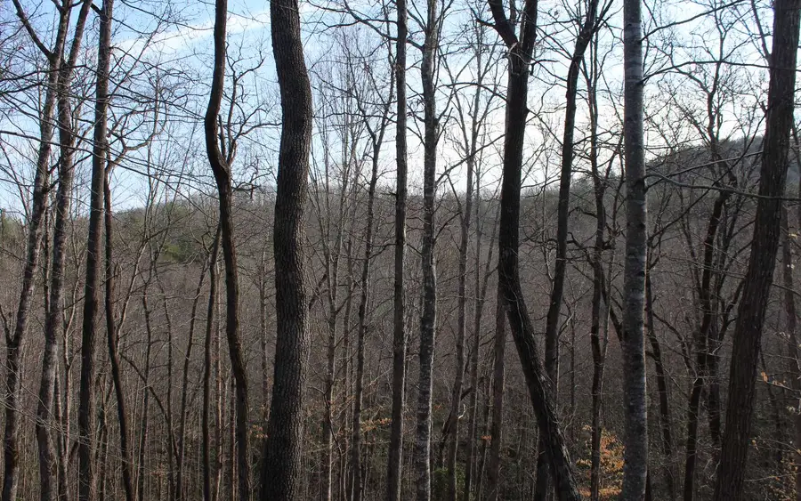 7 Fodder Creek Mill Road, Hiawassee, GA 30546 - Image #2