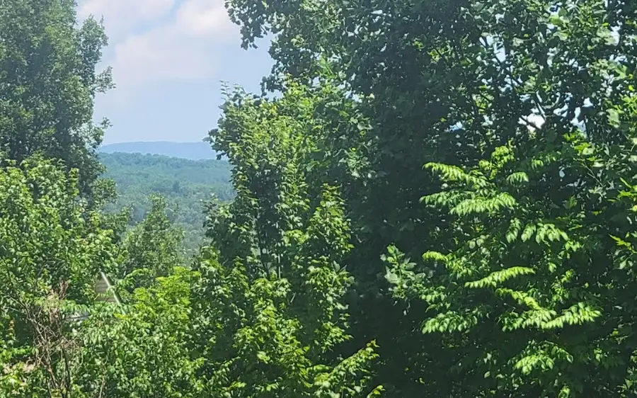 24 Mountain Knoll Lane, Warne, NC 28909 - Image #2