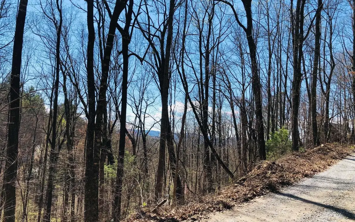 LT113 Laurel Lane, Clayton, GA 30525 - Image #1