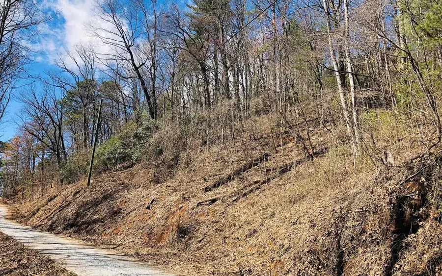 LT113 Laurel Lane, Clayton, GA 30525 - Image #2