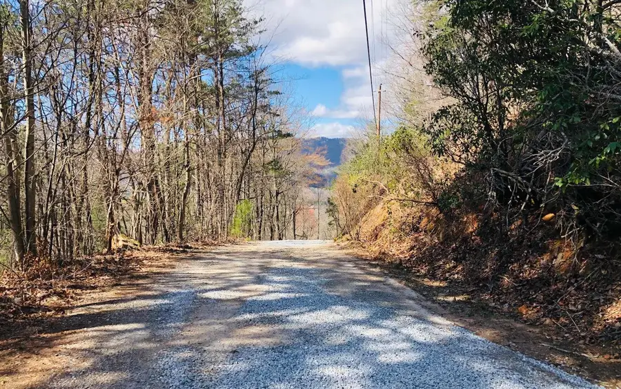 LT113 Laurel Lane, Clayton, GA 30525 - Image #3