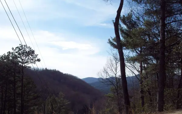 LOT 5 Long Branch Road #5, Marble, NC 28905