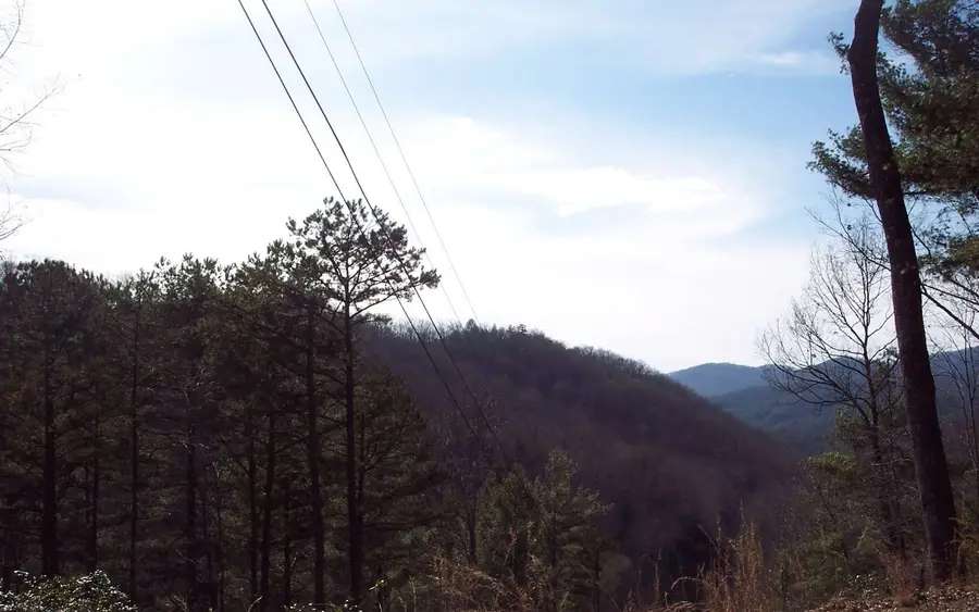 LOT 5 Long Branch Road #5, Marble, NC 28905 - Image #2