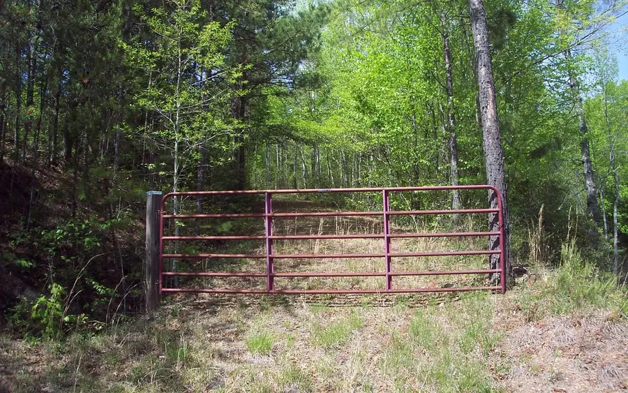 LOT 5 Long Branch Road #5, Marble, NC 28905 - Image #3