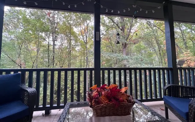 363 Mountain View Lane, Hayesville, NC 28904 - Image #2