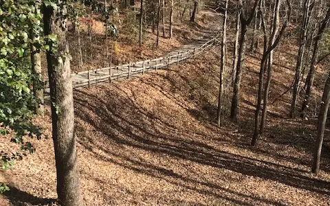 363 Mountain View Lane, Hayesville, NC 28904 - Image #3