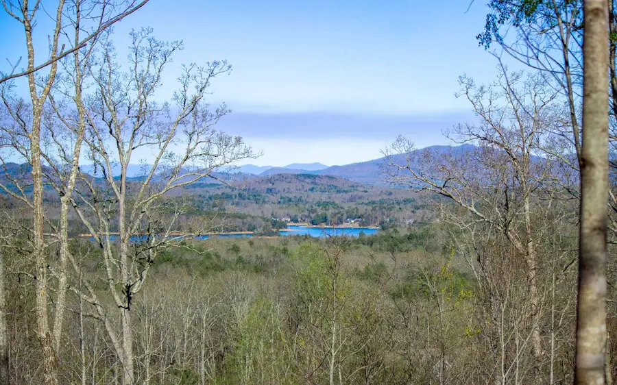 295 Loving Road, Morganton, GA 30560 - Image #2