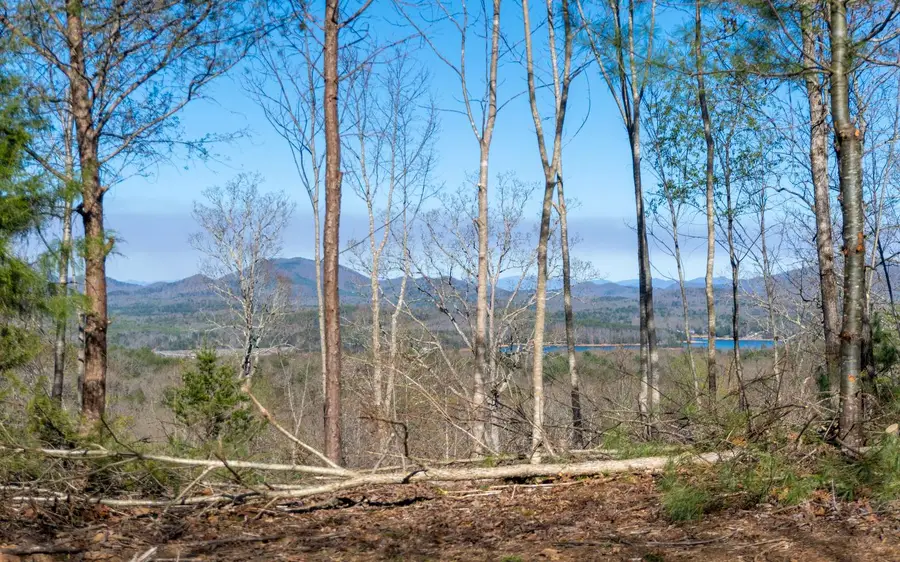 295 Loving Road, Morganton, GA 30560 - Image #3