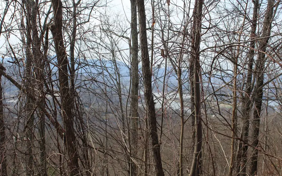 LT 13 The Pinnacle, Hayesville, NC 28904 - Image #3