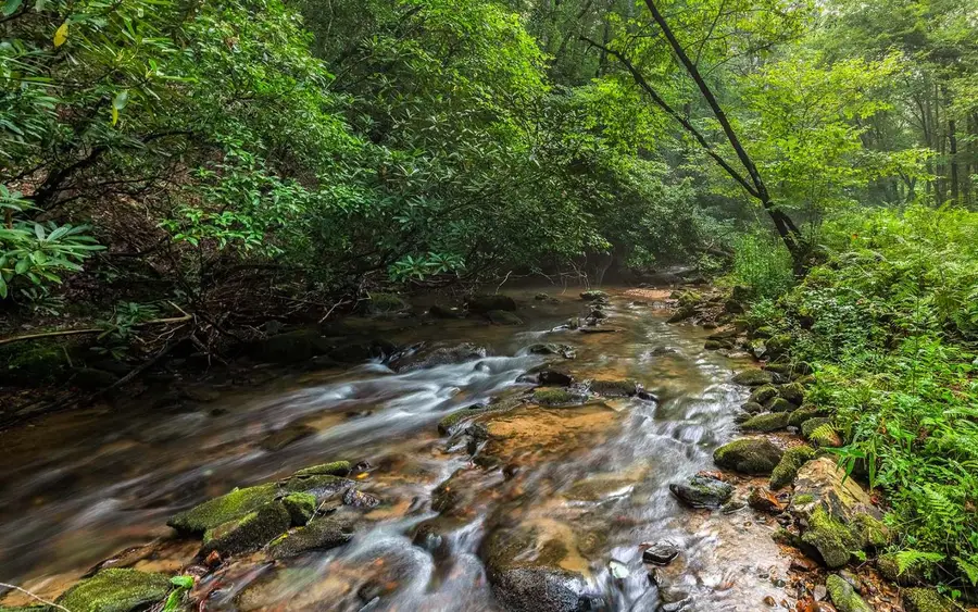 20 Bear Trail, Ellijay, GA 30540 - Image #3