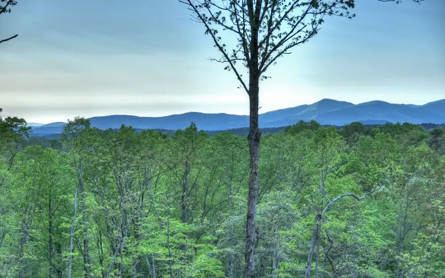 923 Big Timber Rd., Mineral Bluff, GA 30559 - Image #3