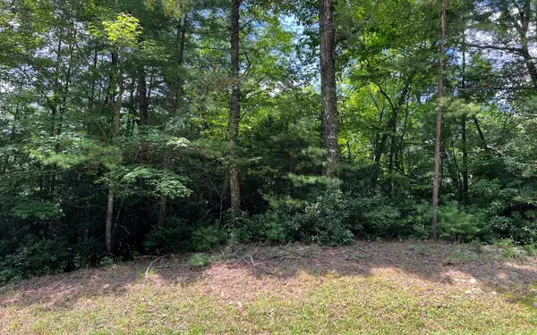 Lot 32 Fires Creek Cove Road, Hayesville, NC 28904