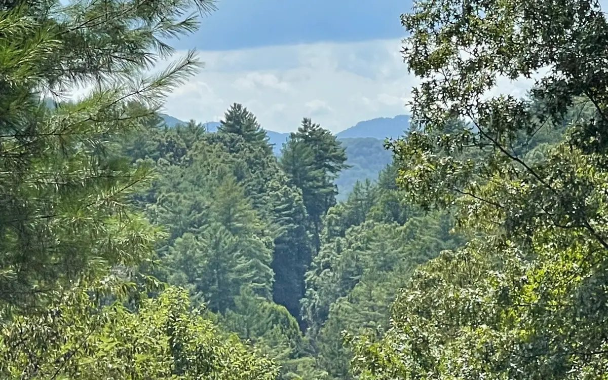 Lot 71 Fires Creek Cove Road, Hayesville, NC 28904 - Image #1