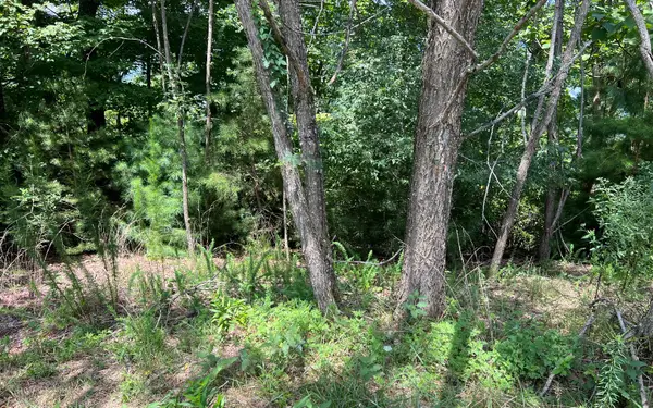 Lot 59 Fires Creek Cove Road, Hayesville, NC 28904