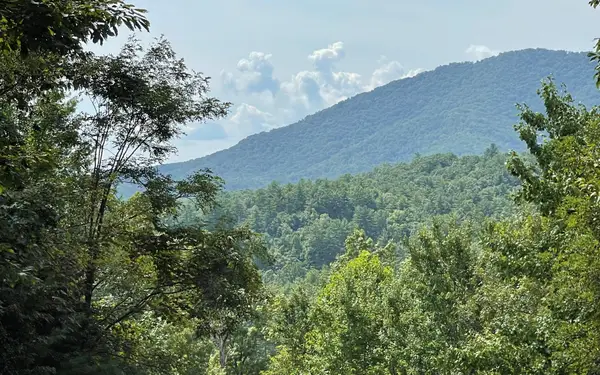 Lot 72 Fires Creek Cove Road, Hayesville, NC 28904