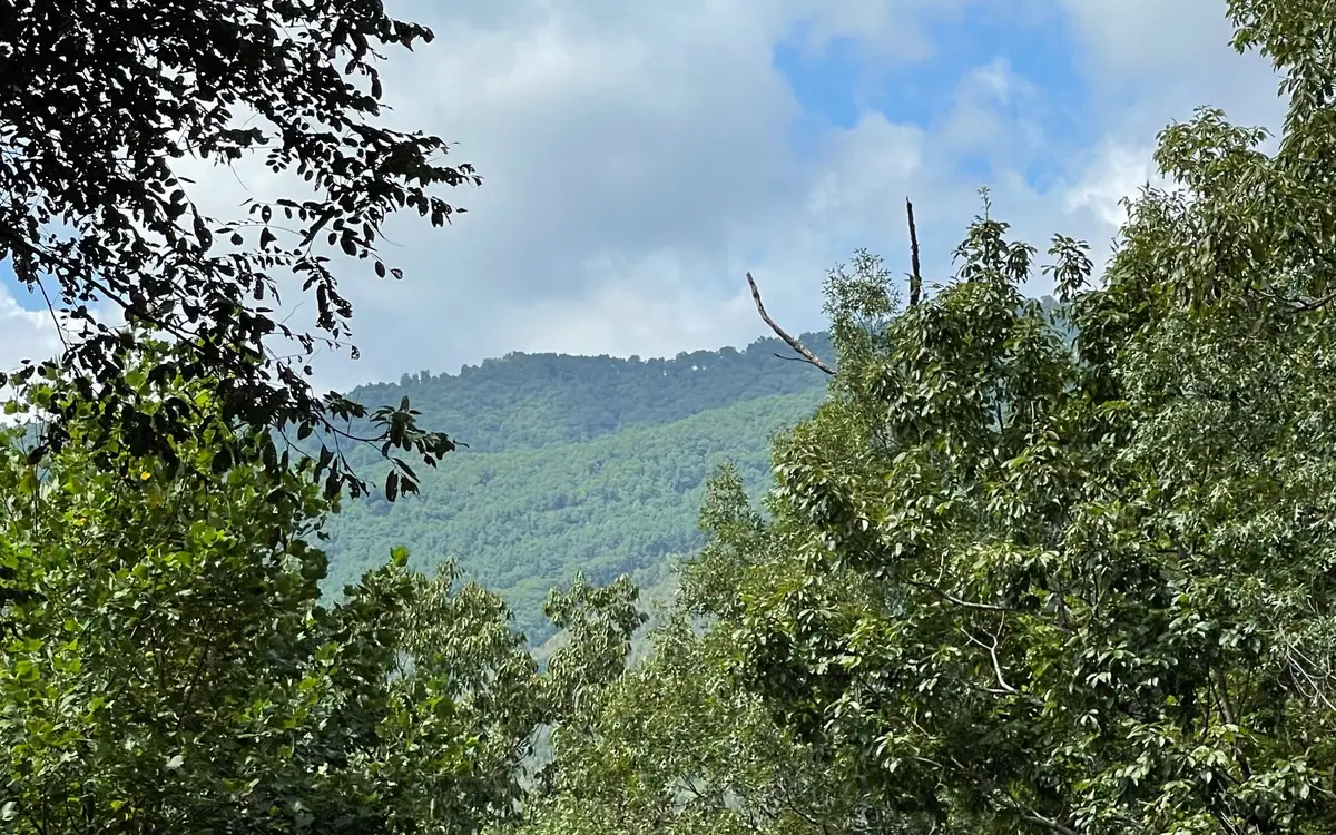 Lot 73 Fires Creek Cove Road, Hayesville, NC 28904 - Image #1