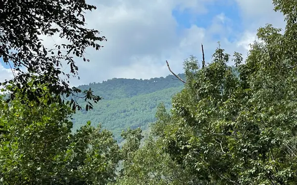 Lot 73 Fires Creek Cove Road, Hayesville, NC 28904
