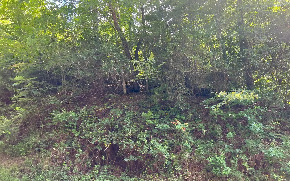 Lot 75 Fires Creek Cove Road, Hayesville, NC 28904 - Image #1